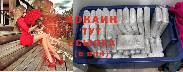 PSILOCYBIN Богородск