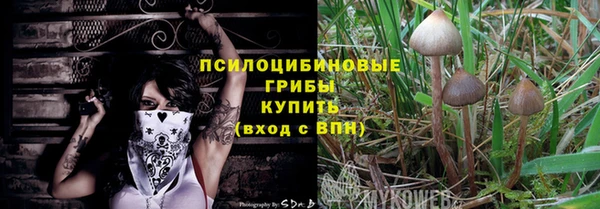 мдпв Бородино