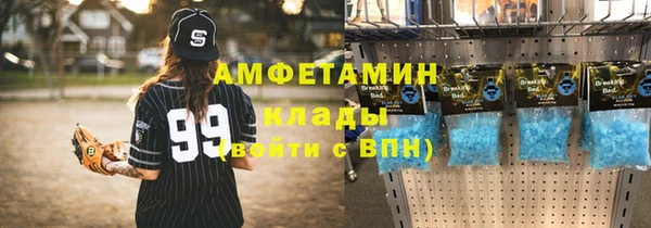 мдпв Бородино