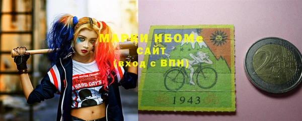 мдпв Бородино