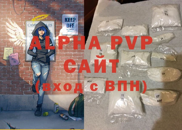 мдпв Бородино