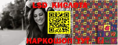 крисы Прохладный