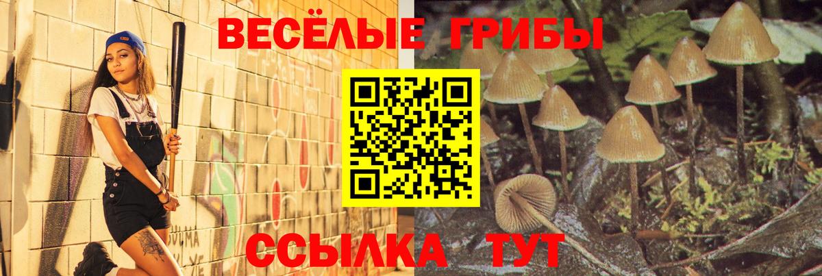 MDMA Гатчина