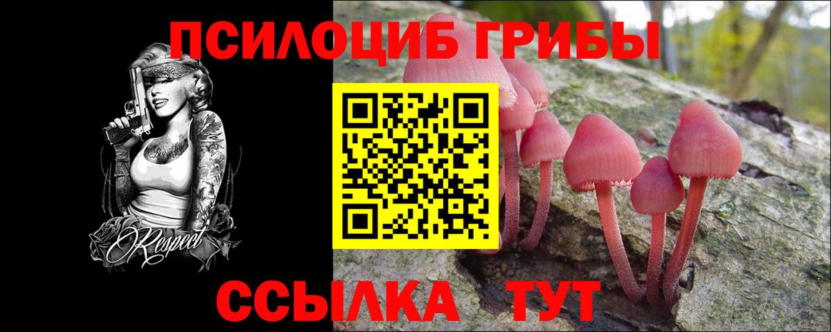 Галлюциногенные грибы Psilocybine cubensis Гатчина